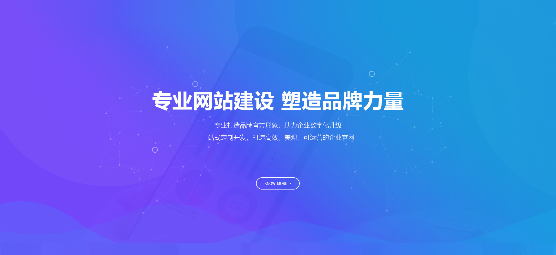德宏建站-专业网站建设 塑造品牌力量